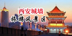 啊嗯～AA..性奴捆啊啊啊免费黄色网站中国陕西-西安城墙旅游风景区
